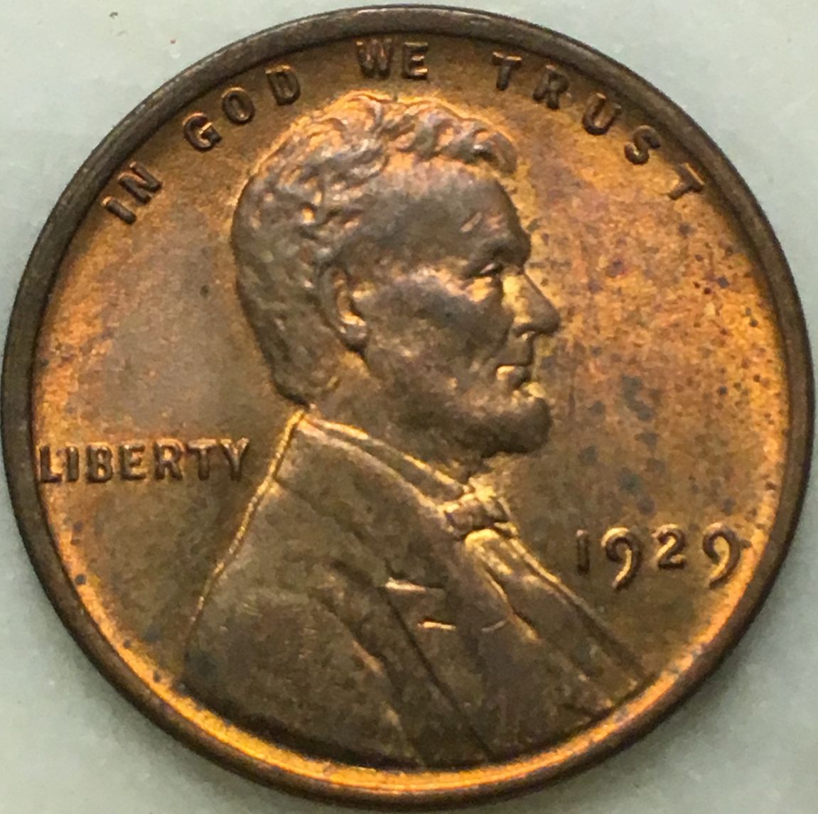 Would-You-Buy-This?-How-Much-Would-You-Pay?