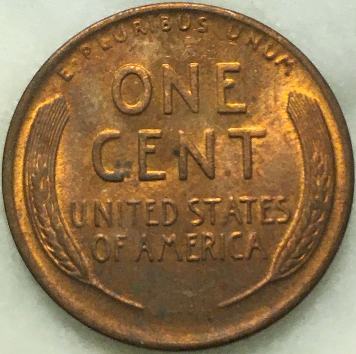 Would-You-Buy-This?-How-Much-Would-You-Pay?