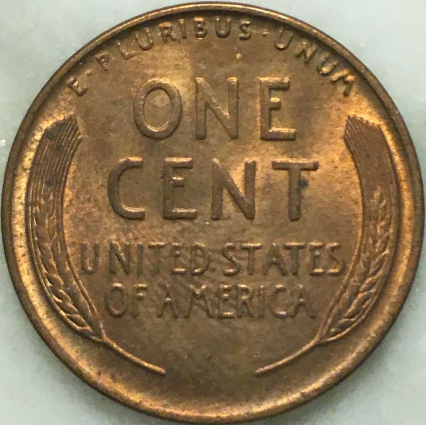 Would-You-Buy-This?-How-Much-Would-You-Pay?