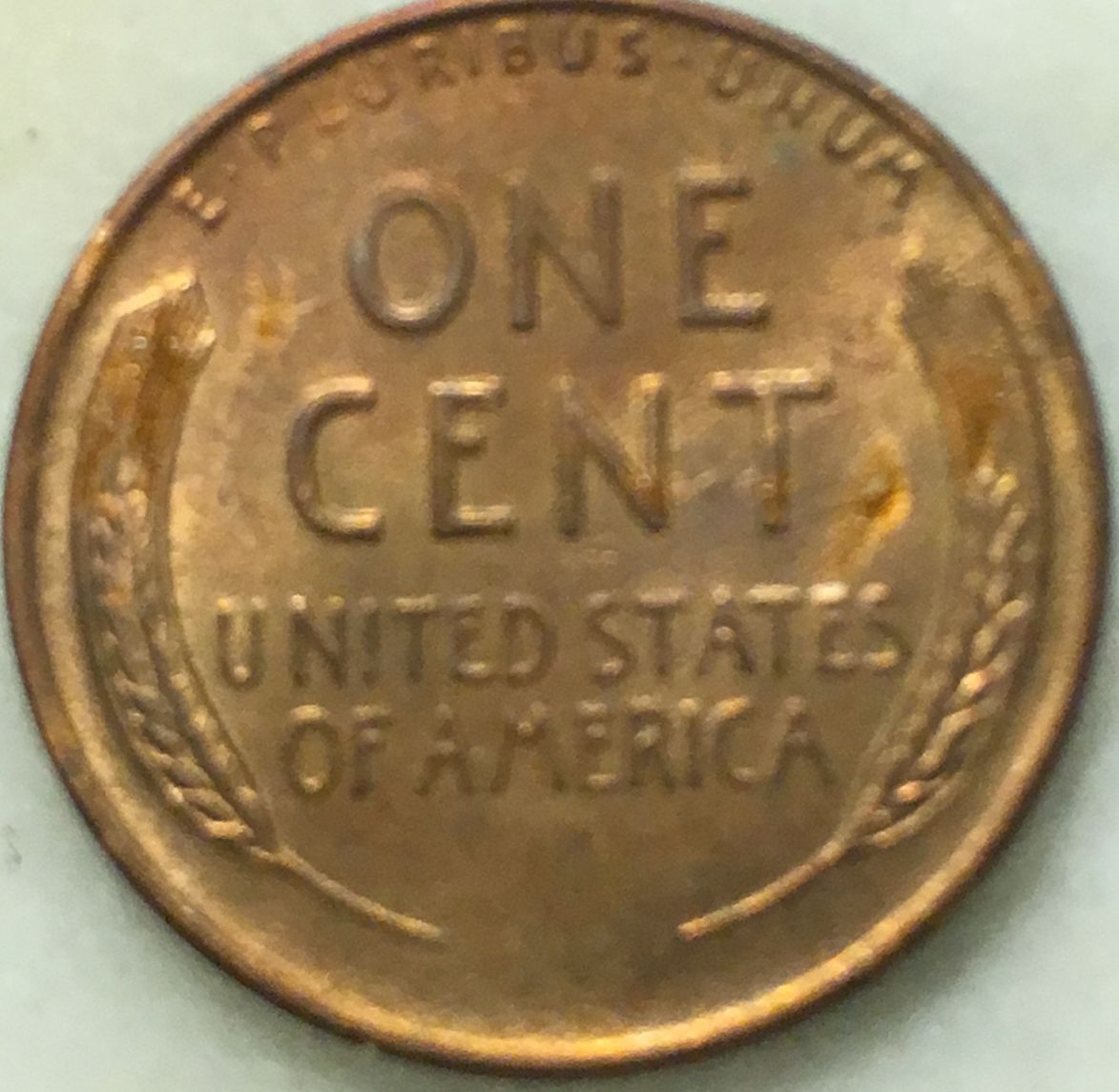 Would-You-Buy-This?-How-Much-Would-You-Pay?