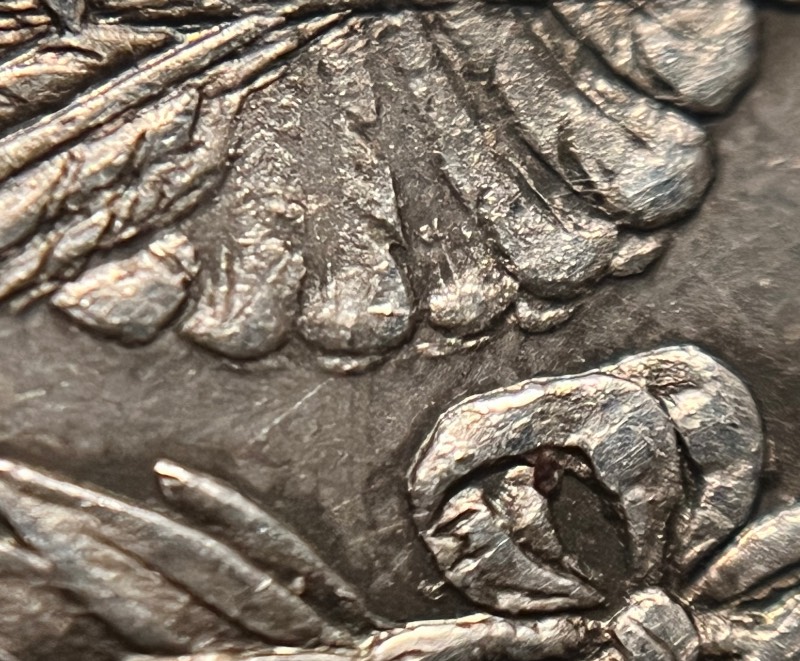 1878-7-Over-8-Tail-Feathers