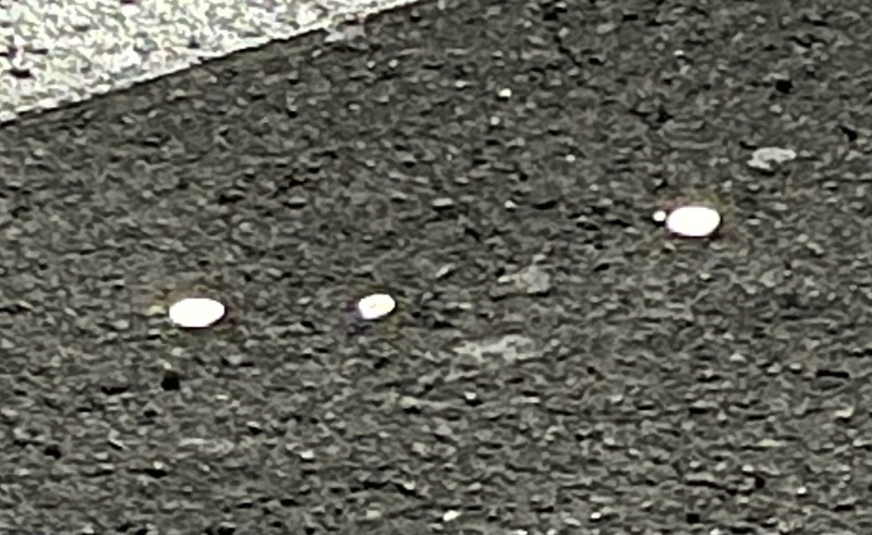 Post-Your-Stories-&-Pix-Of-Found-Money