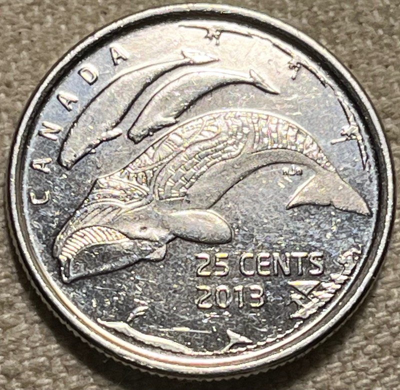 2013-Canadian-Quarter-Found-In-A-Baggie-Of-Washington-Quarters