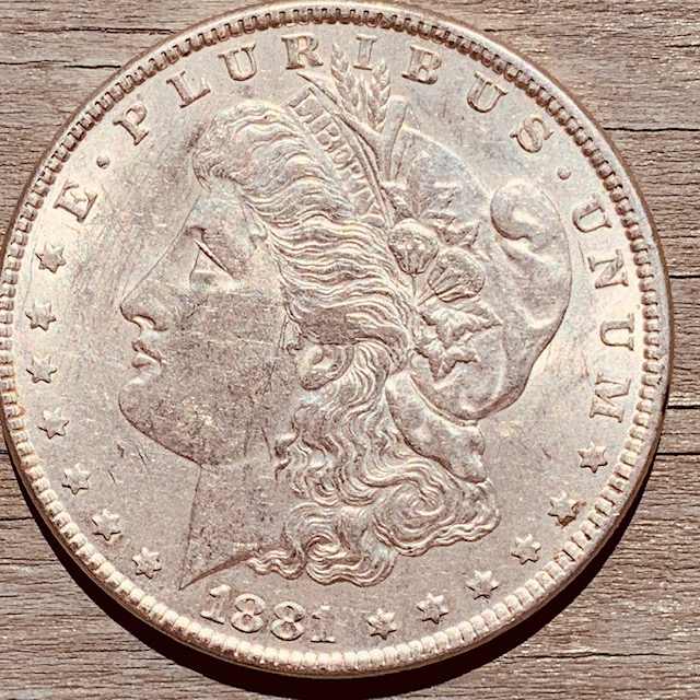 Trying-To-Learn-More-About-Grading-What-Would-This-Circulated-Coin-Score?