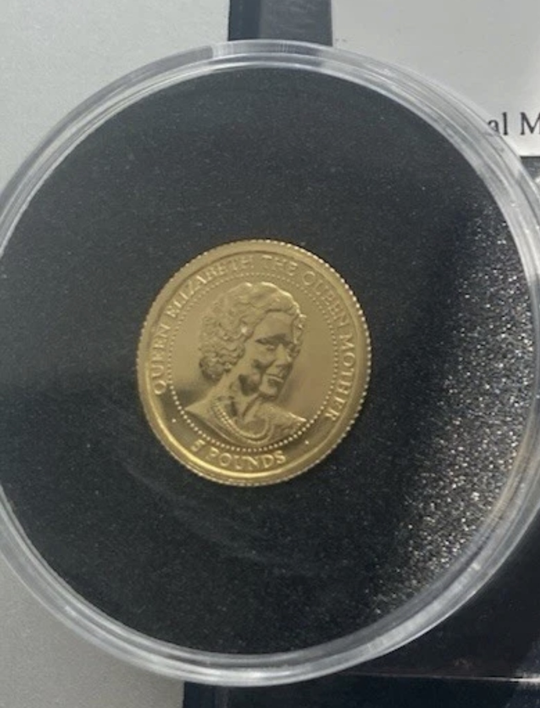 Best-Ebay-Or-Other-Online-Score-Or-Deal/Steal