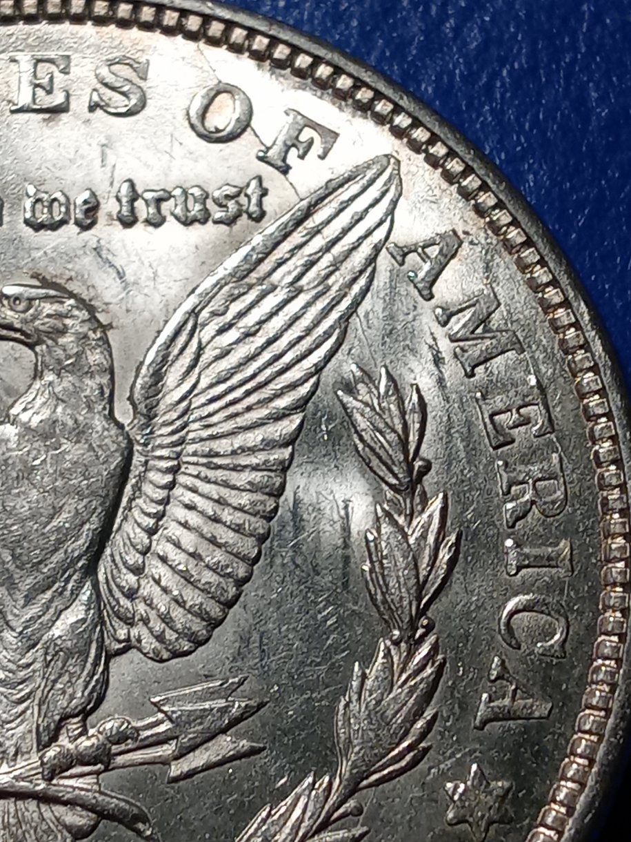 On-A-VEDS-VAM-1B1-1921-D-Morgan-Dollar