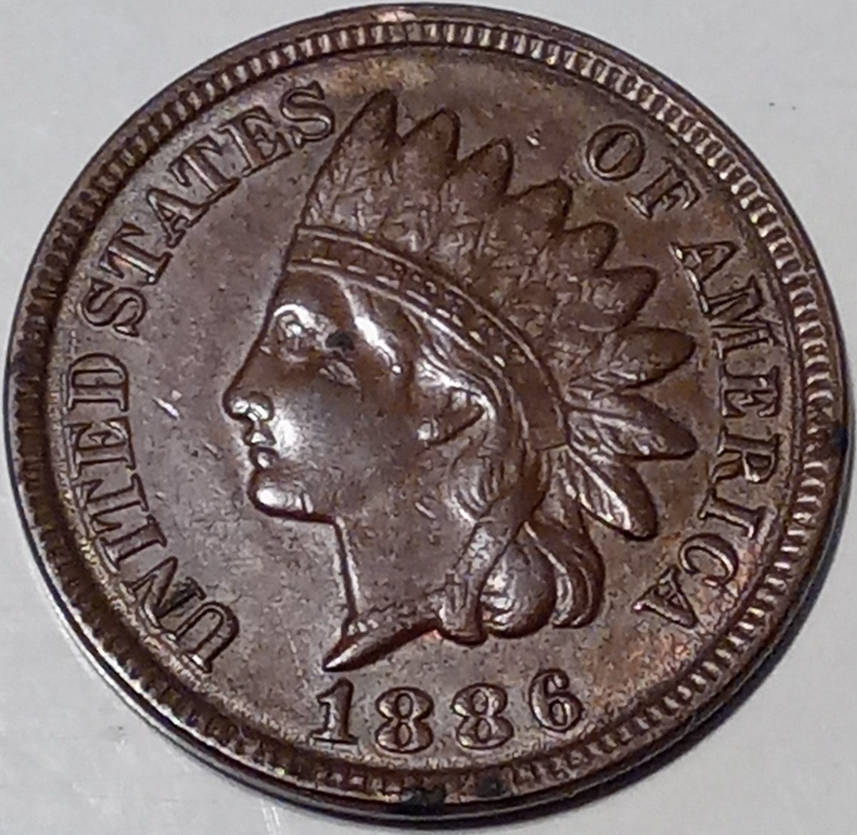 Continuing-List-To-Show-Everyones-Latest-Acquisitions