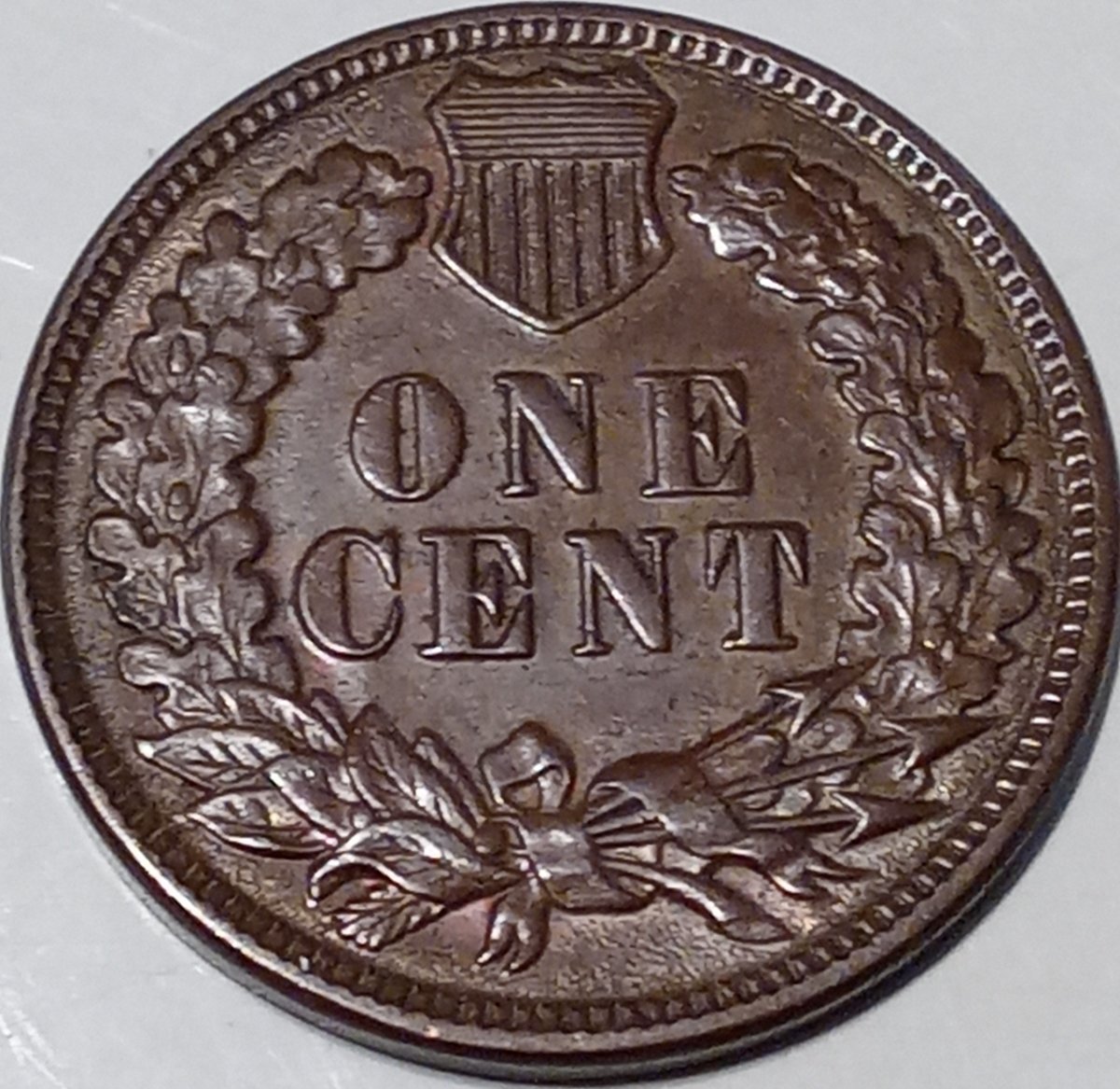 Continuing-List-To-Show-Everyones-Latest-Acquisitions