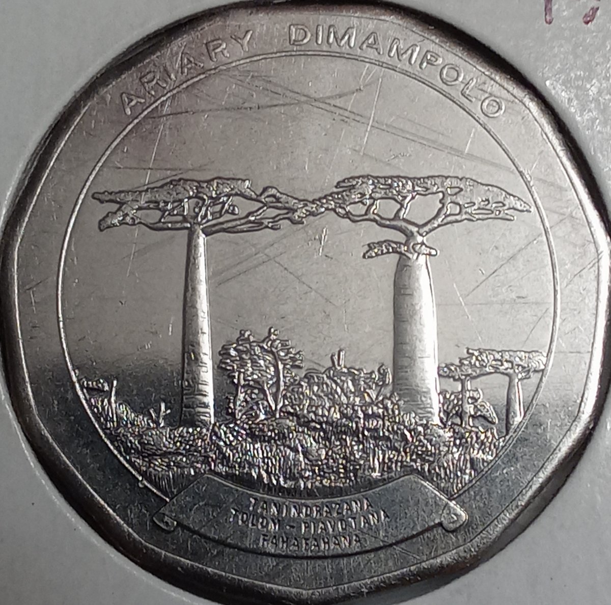 Post-Your-Coins-And-Medals-With-Trees