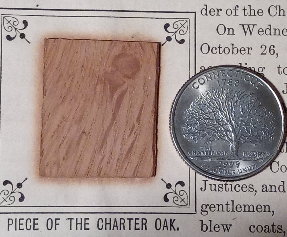 Commems-Collection-Classic:-US-Commemorative-Coins-With-Trees