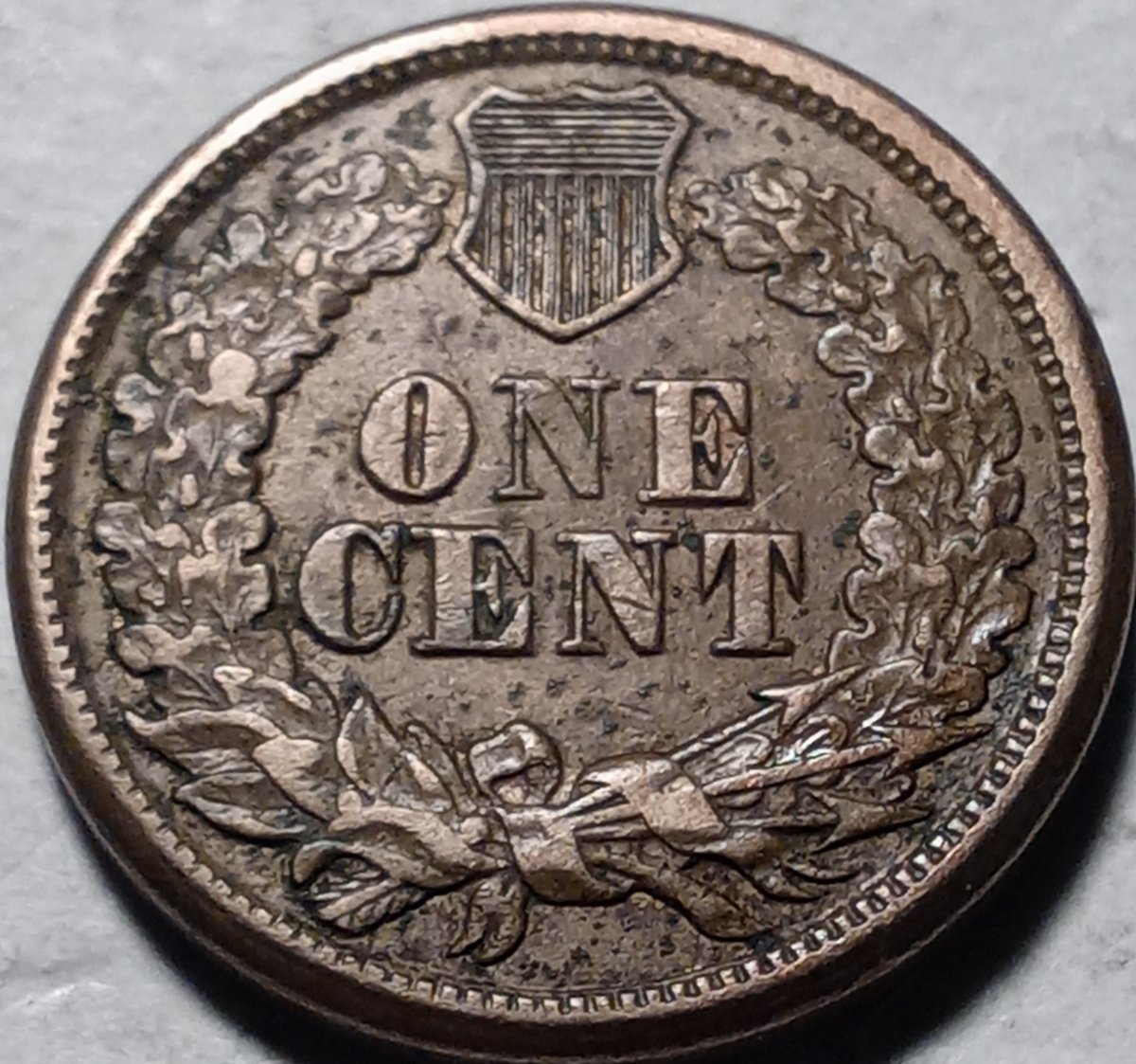 Continuing-List-To-Show-Everyones-Latest-Acquisitions