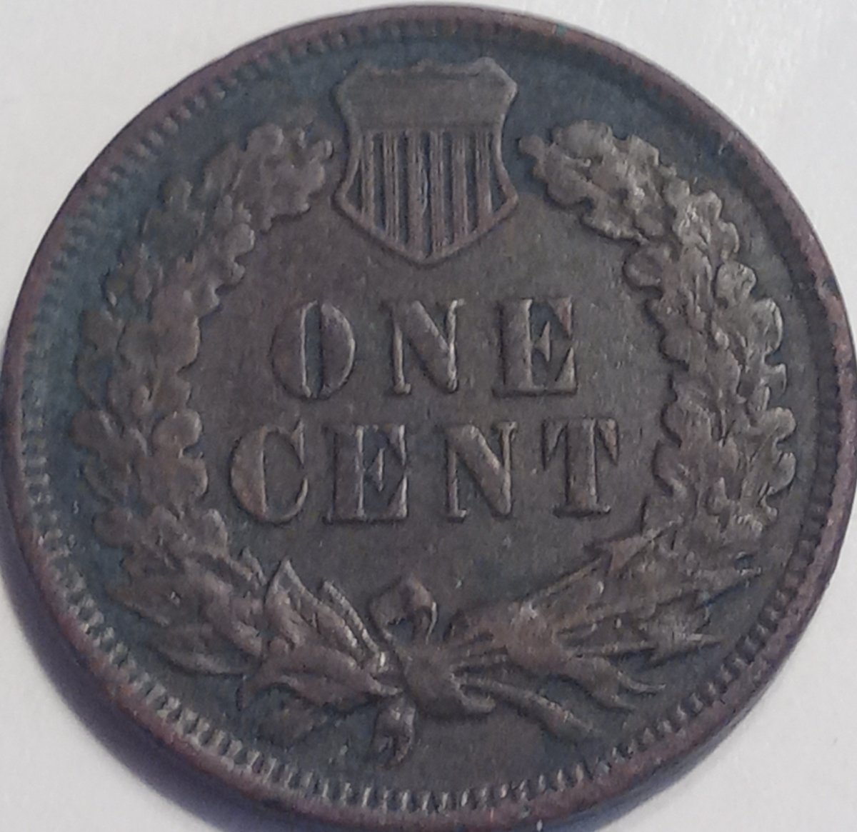 Found-A-1906-Indian-Cent-Coin-Roll-Hunting