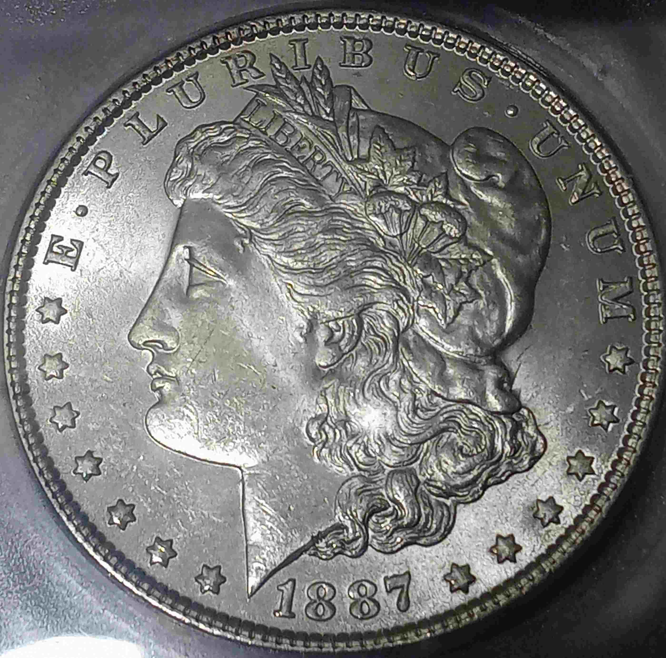 You-Vs.-ICG,-1887-P-Morgan-Dollar
