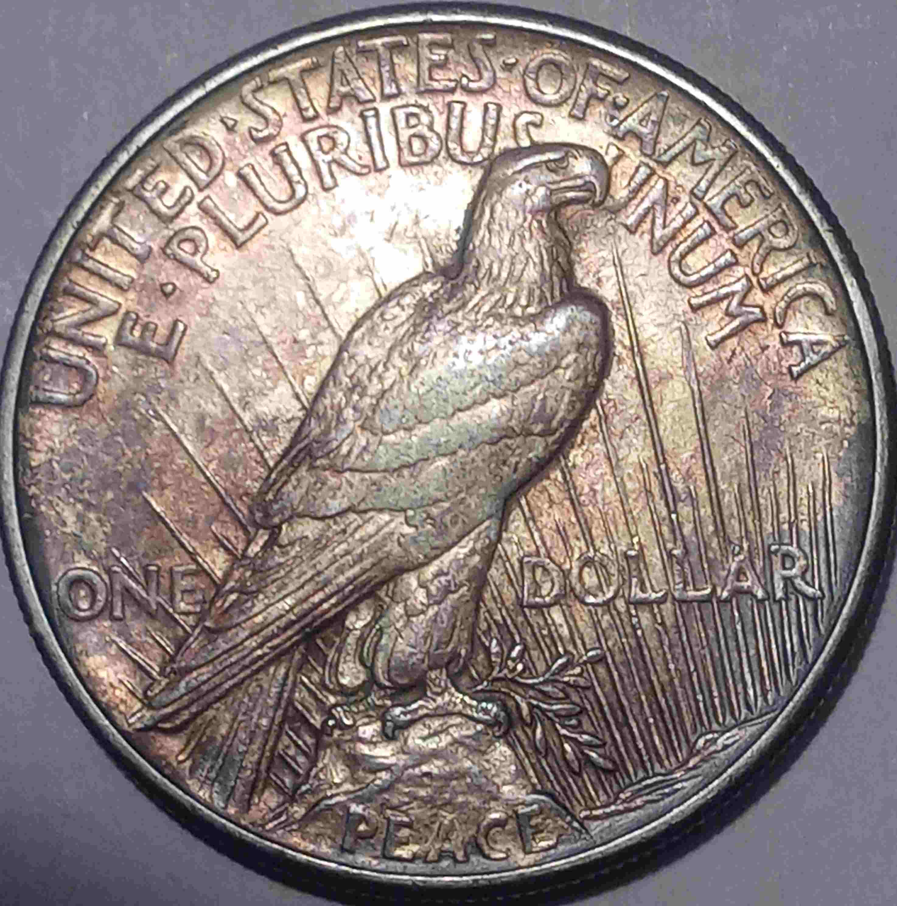 1921-Peace-Dollar-For-Grading-My-Own-Upgrade