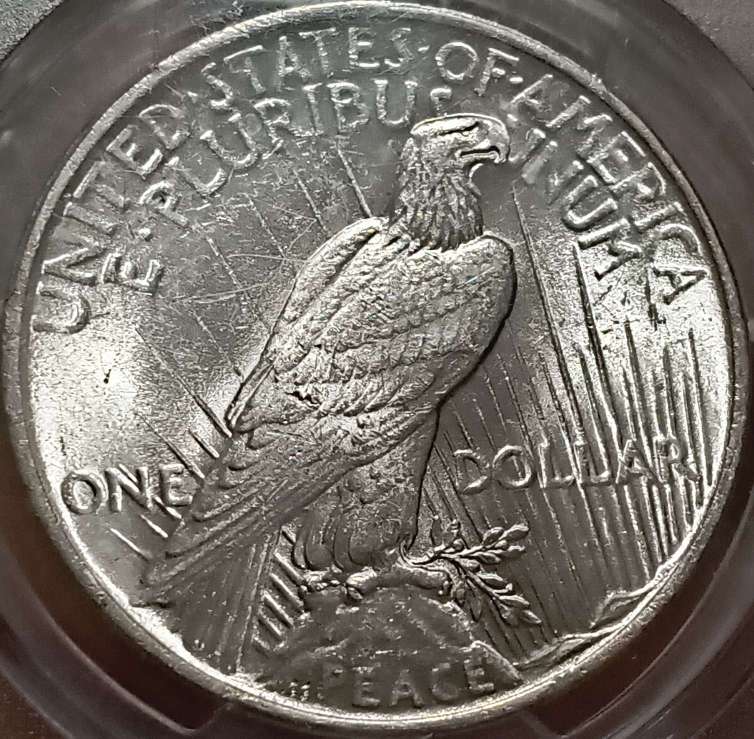 You-Vs-PCGS:-1924-Peace-Dollar