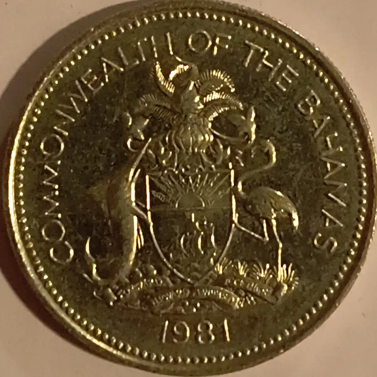 Yet-Another-Forum-Game---Numismatic-Go-Fish!