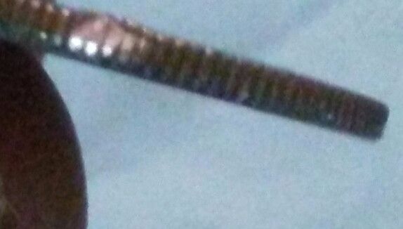 Are-These-2-Cuds-On-2010-Dime