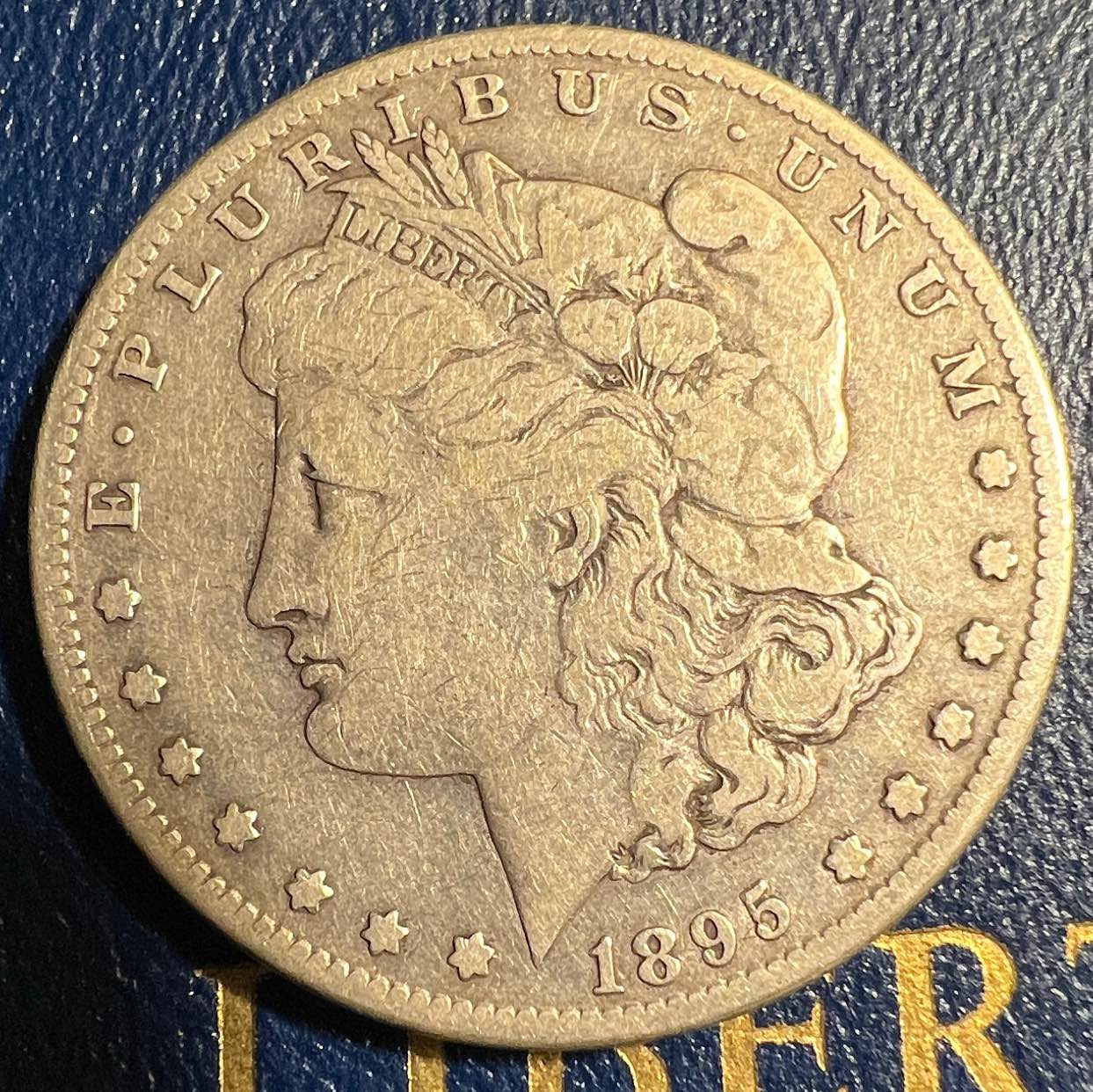 1895-S-Morgan-Dollar-VAM-Horizontal-S-Grade?