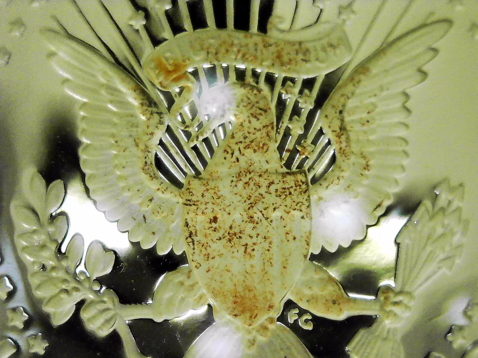 Is-This-Common-For-A-2006-Silver-Proof