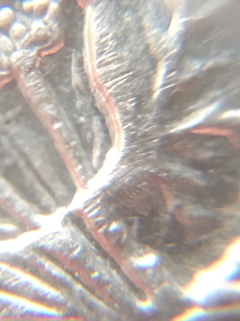 1896--D-Morgan-Dollar-VAM-11
