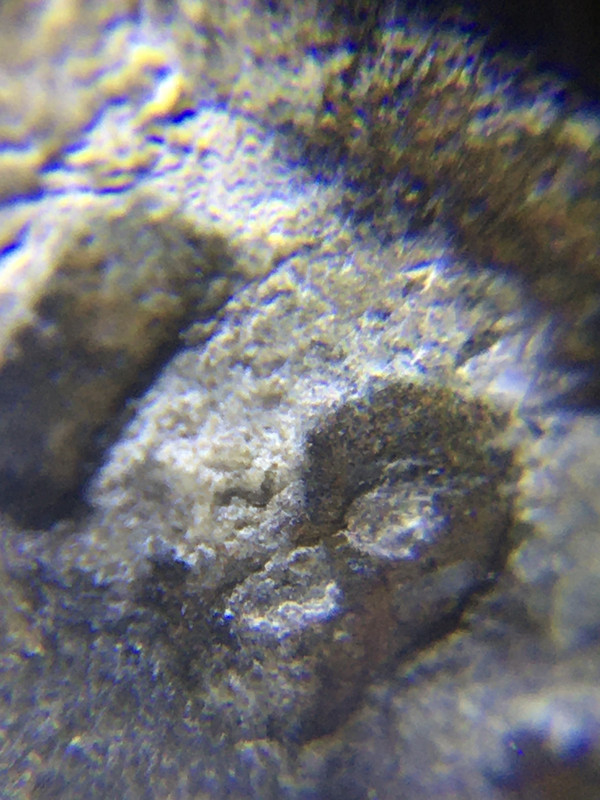 1-Maravedí-1719/18-Overdate