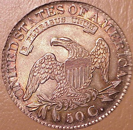 Beginner's-Guide-To-Attributing-Capped-Bust-Half-Dollars