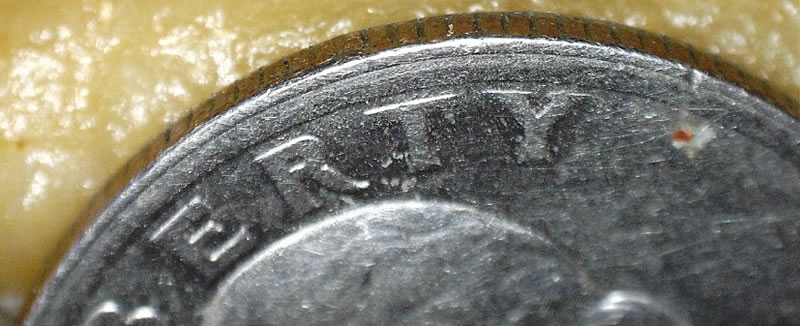 1985-P-Quarter-Dollar-Error?