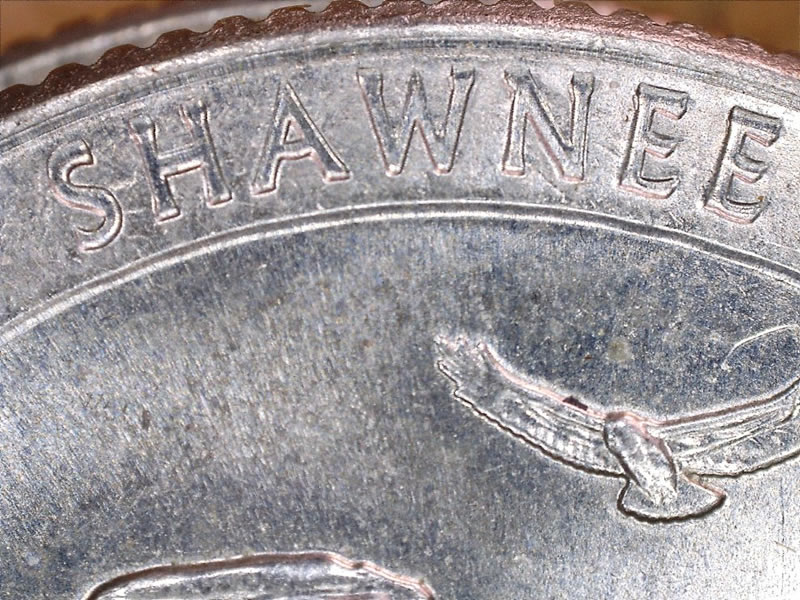 Small-Error-With-These-Modern-Quarters