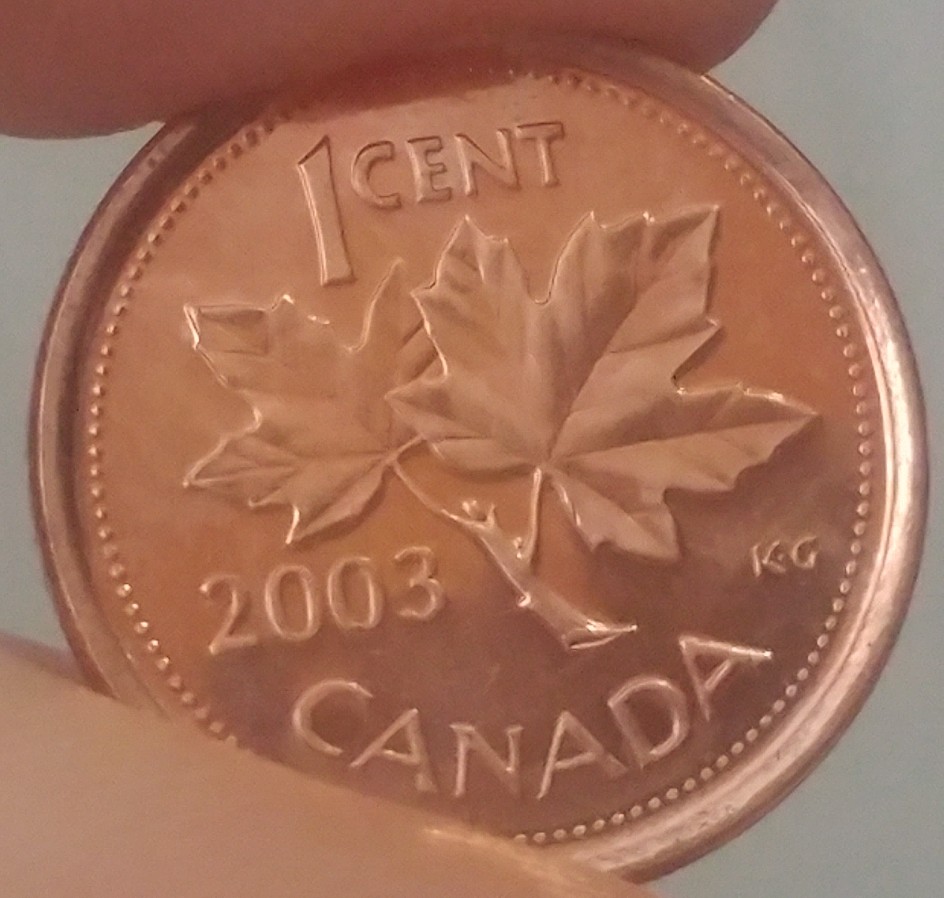 2003-Canadian-Cents-Looking-For-Possible-Grading