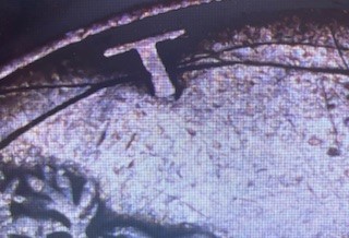 1942-No-Mint-Mark-Half-Dollar---Looks-To-Be-Struck-On-Damaged-Planchet.