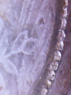 1987-P-Quarter---PMD?