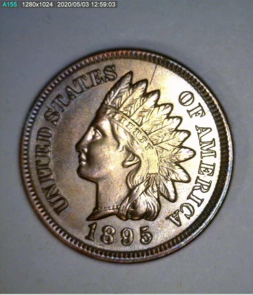 1895-Indian-Head-Penny
