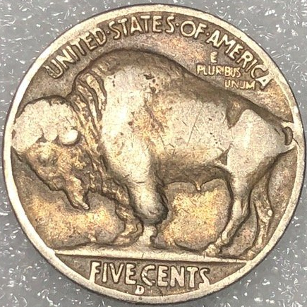 1938-D-Buffalo-Nickel-My-First.