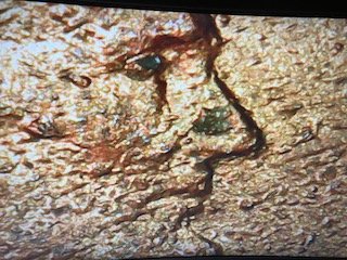 1983-D-Penny-Please-Help-How-Did-This-Happen?