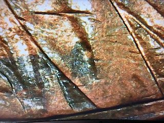 1998-One-Cent-Jacket,-Face-And-Nose-Any-Thoughts?