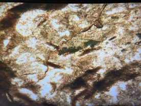 1970-D-One-Cent--Help