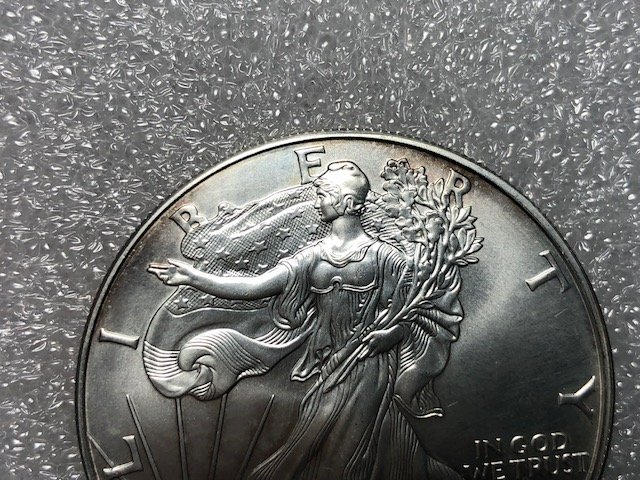2001-American-Silver-Eagle-For-Grading