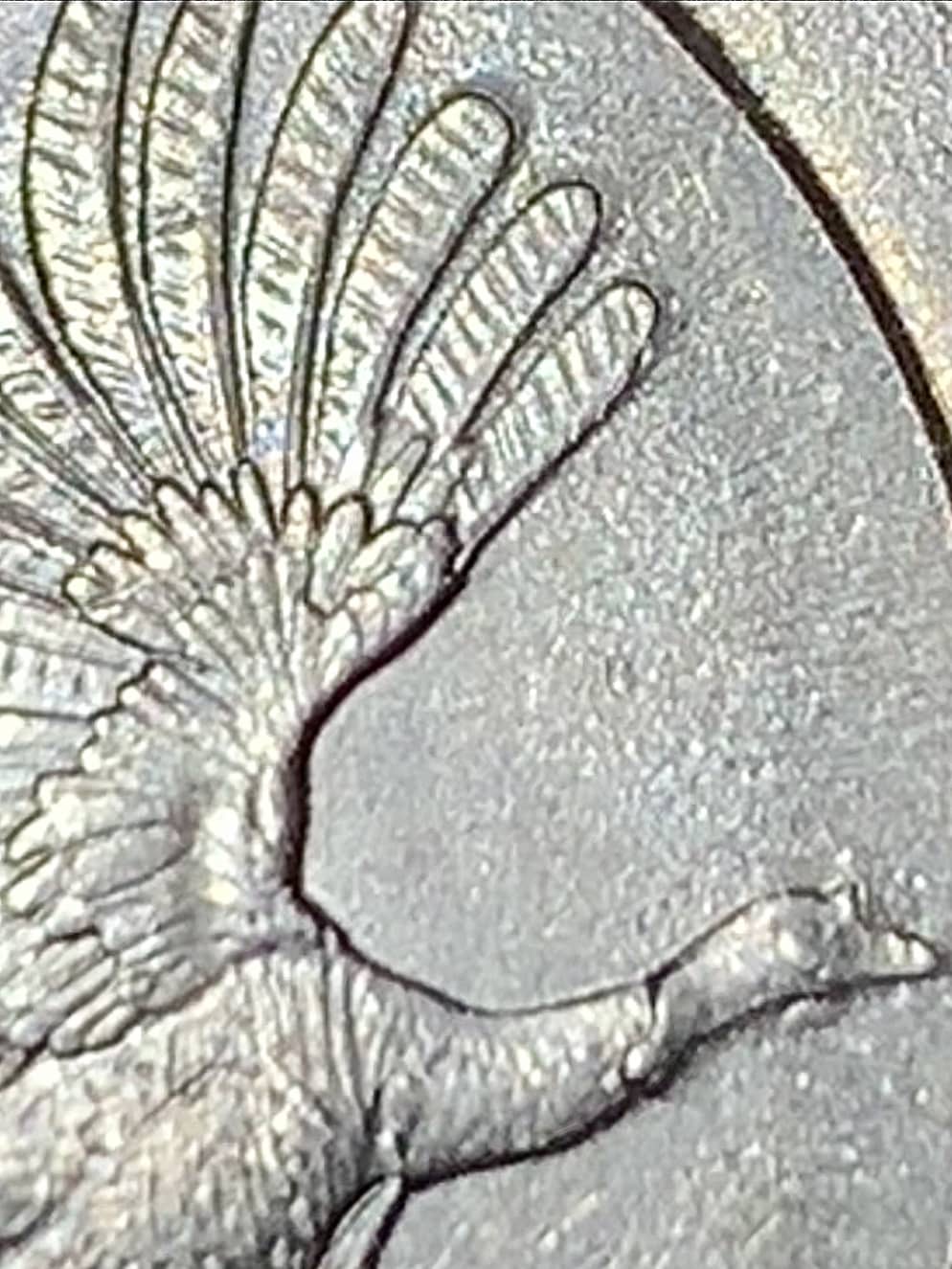 New-Error-2015-P-Quarter?