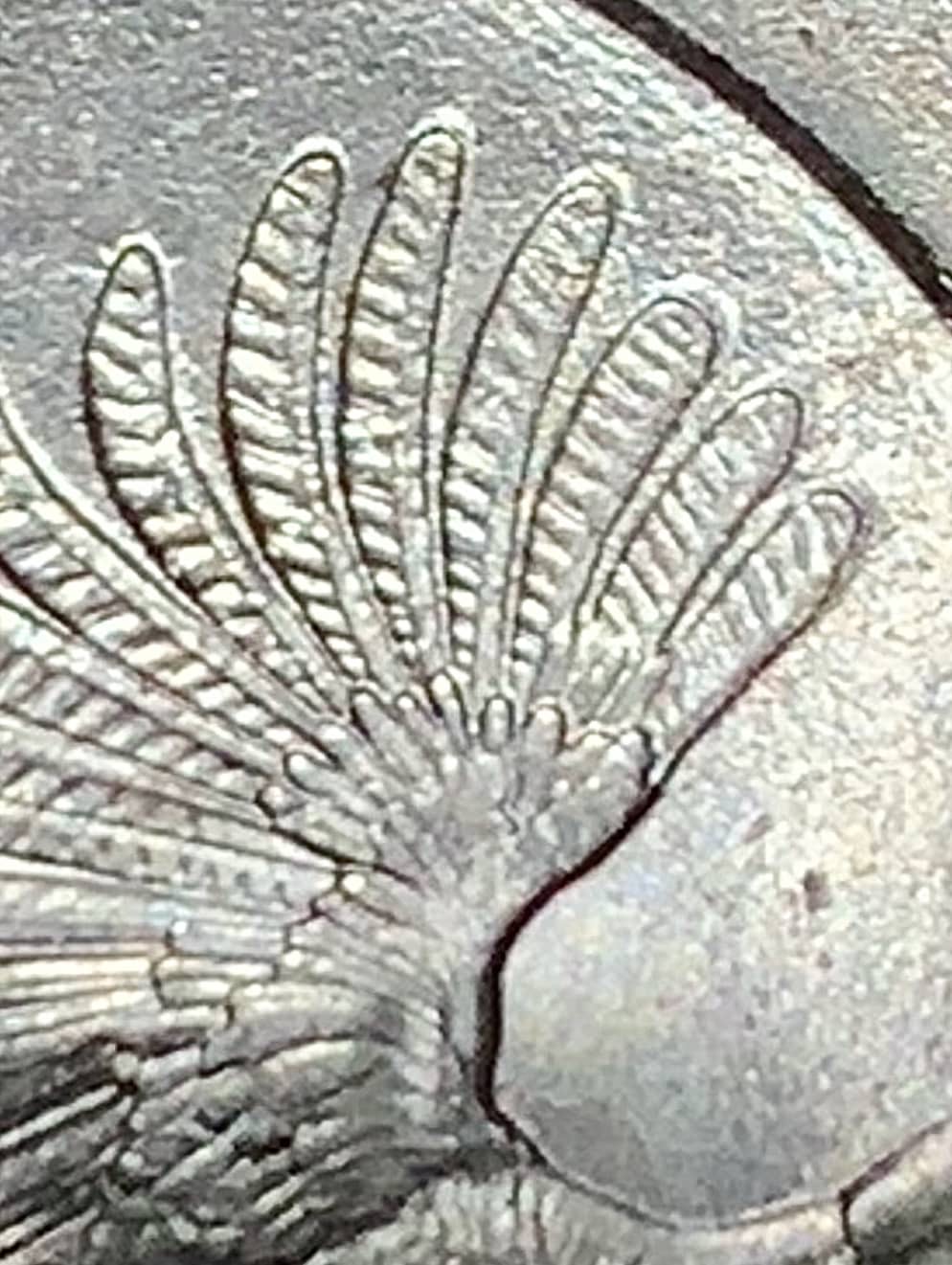New-Error-2015-P-Quarter?
