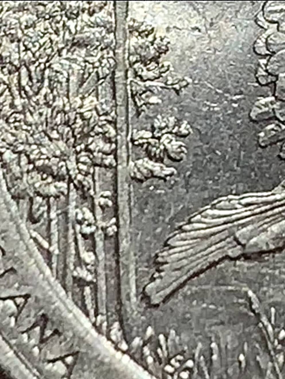 New-Error-2015-P-Quarter?