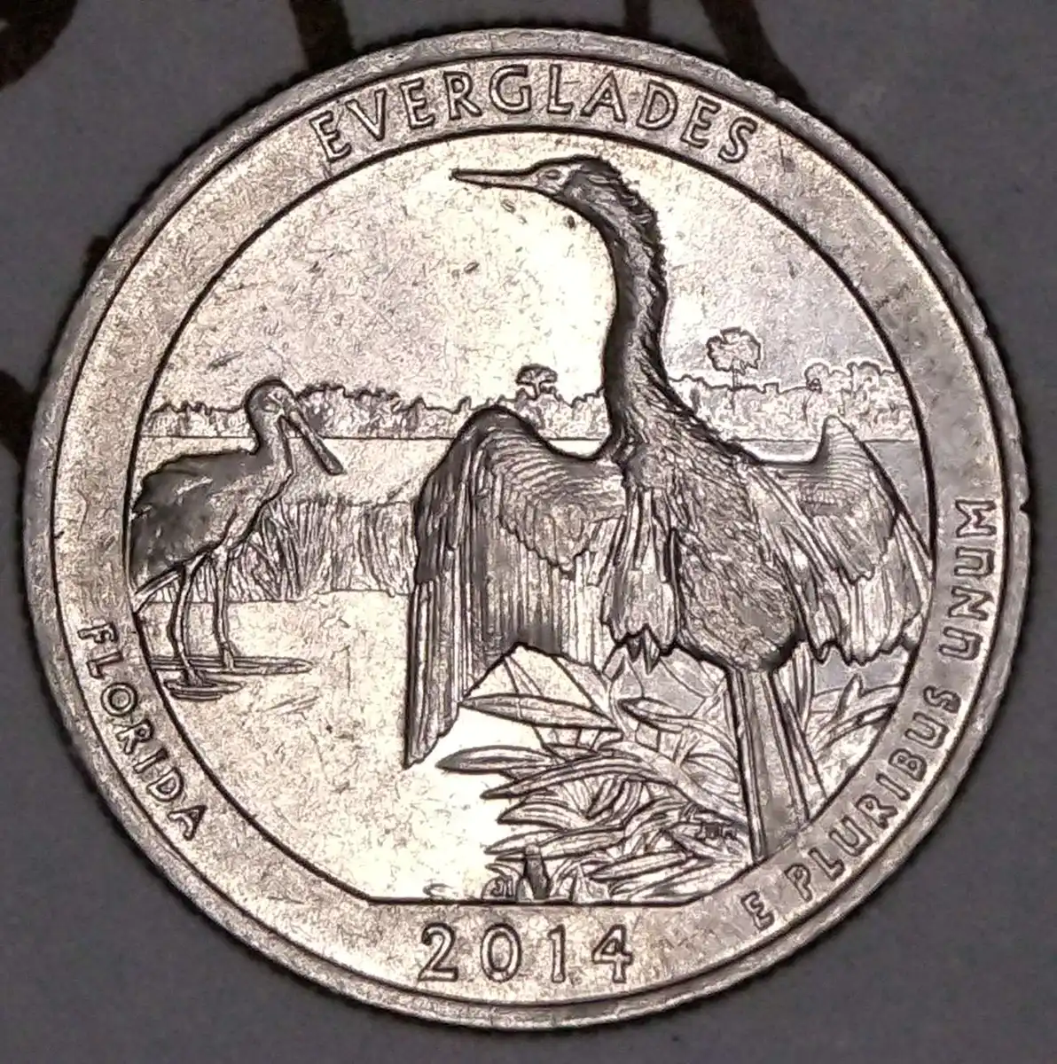 2014-Ab-Everglades-Quarter-Thickness-On-E.p.u.