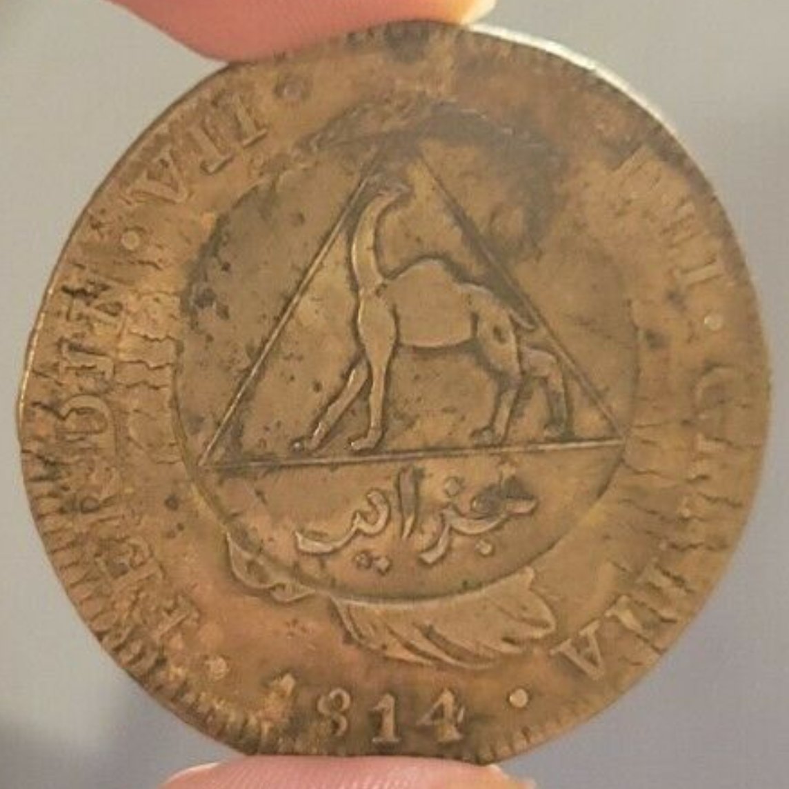Mysterious-Counterstamp-On-1814-8-Reales-Piece?-Arabic-W/-Camel-In-Triangle