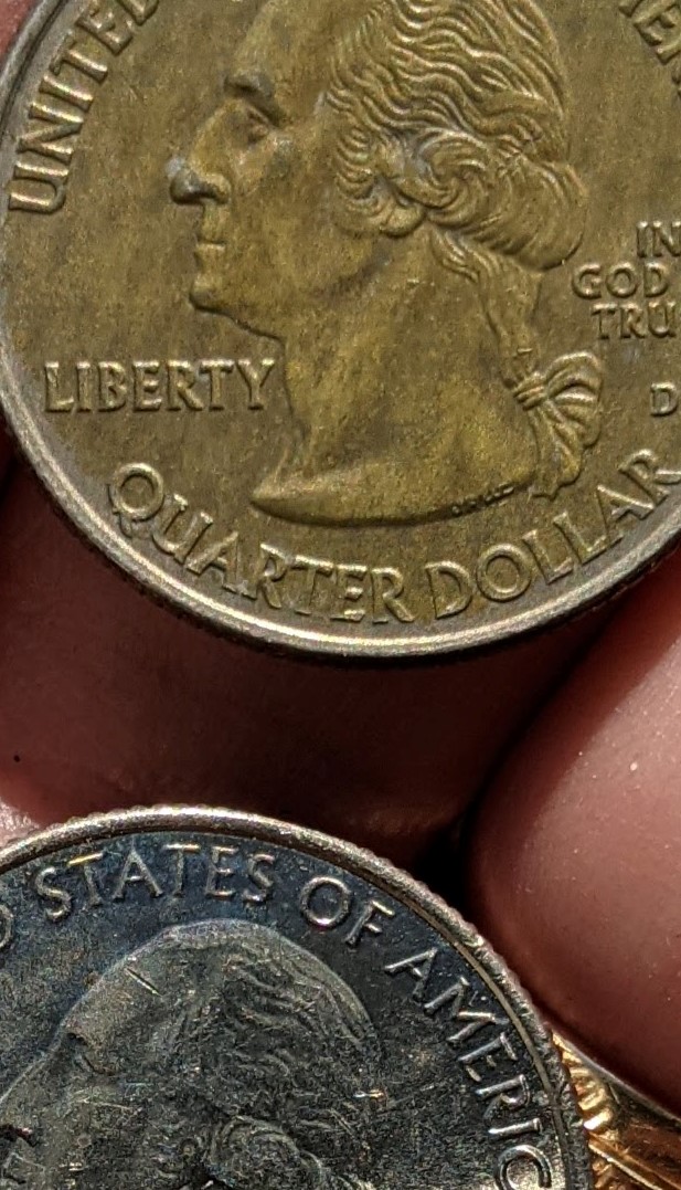 Is-This-2009-Quarter-Missing-Something?
