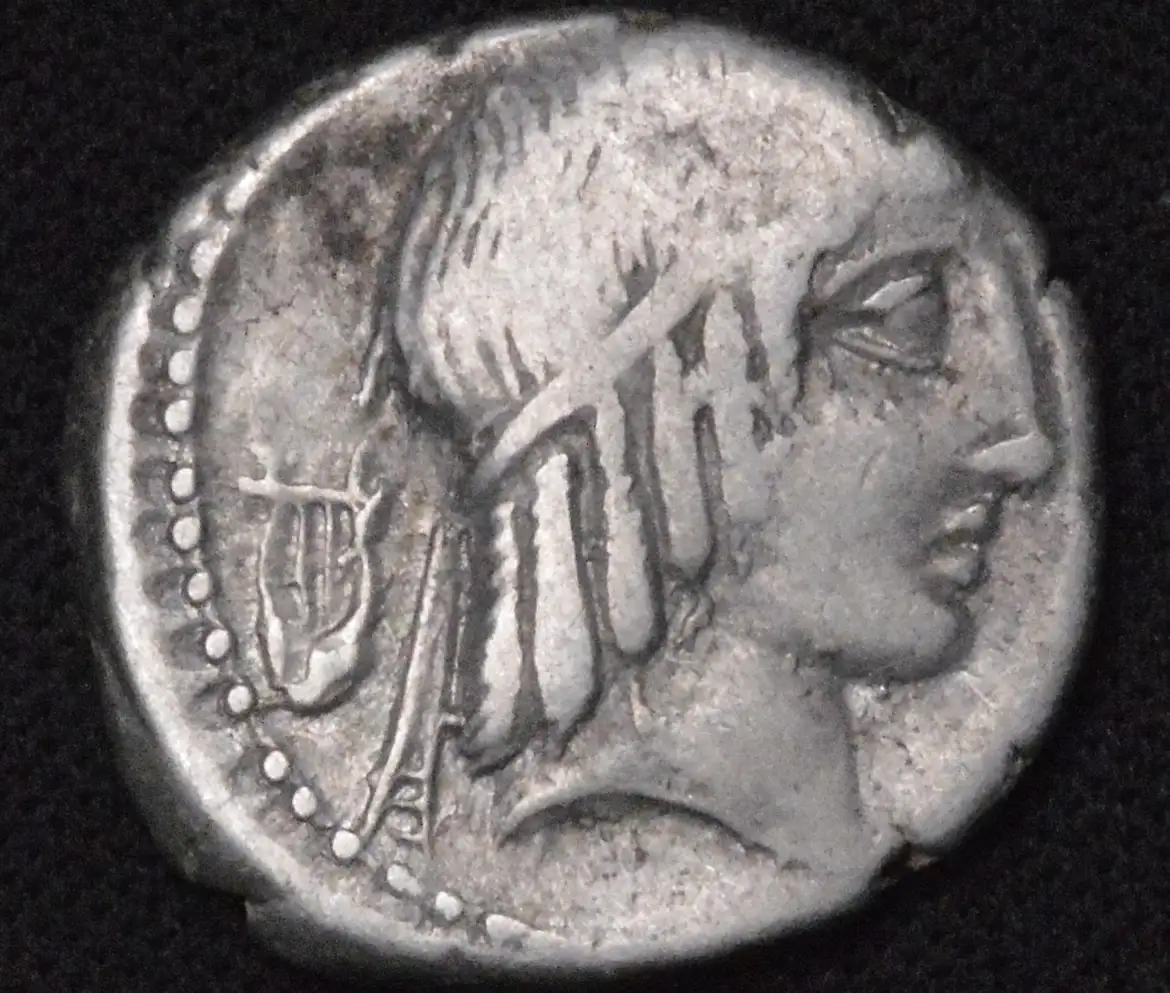 A-Few-New-Denarius,-Thoughts?