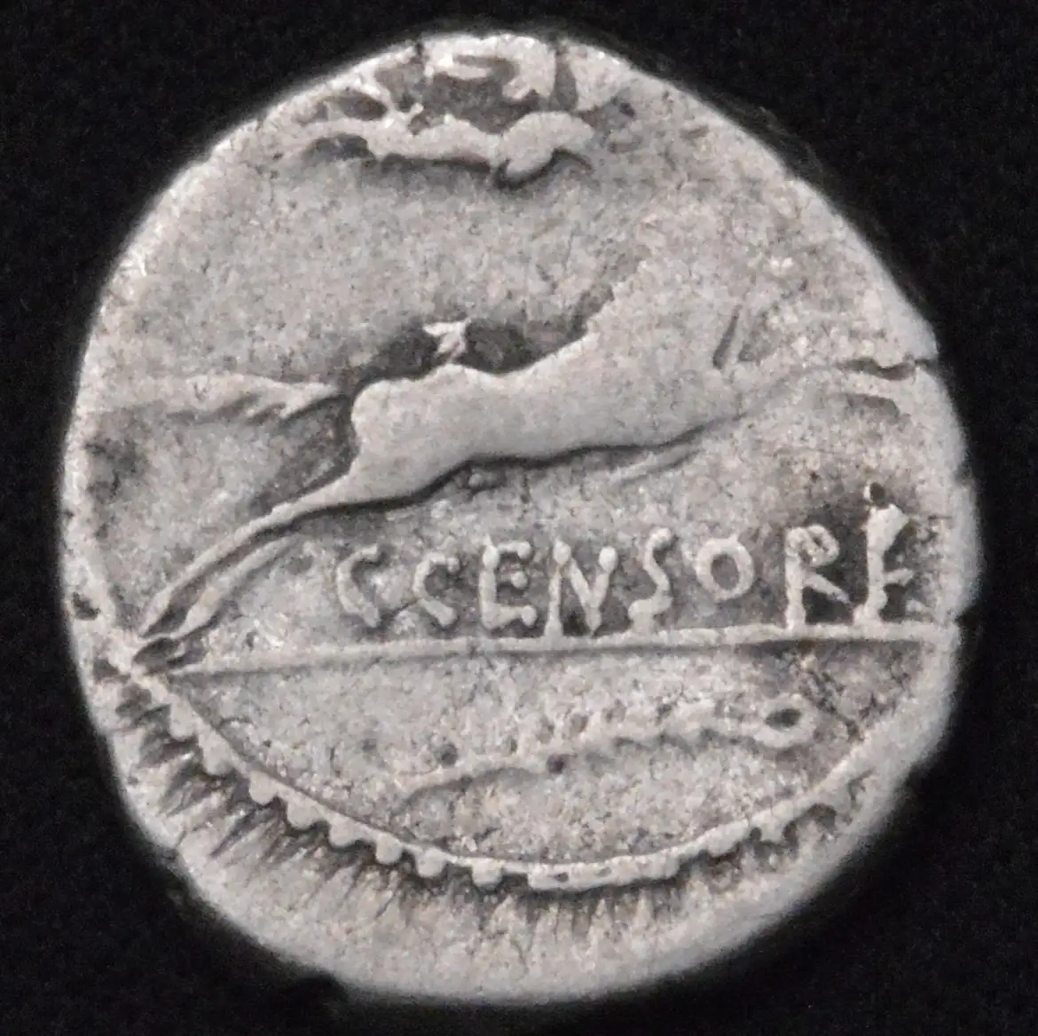 A-Few-New-Denarius,-Thoughts?