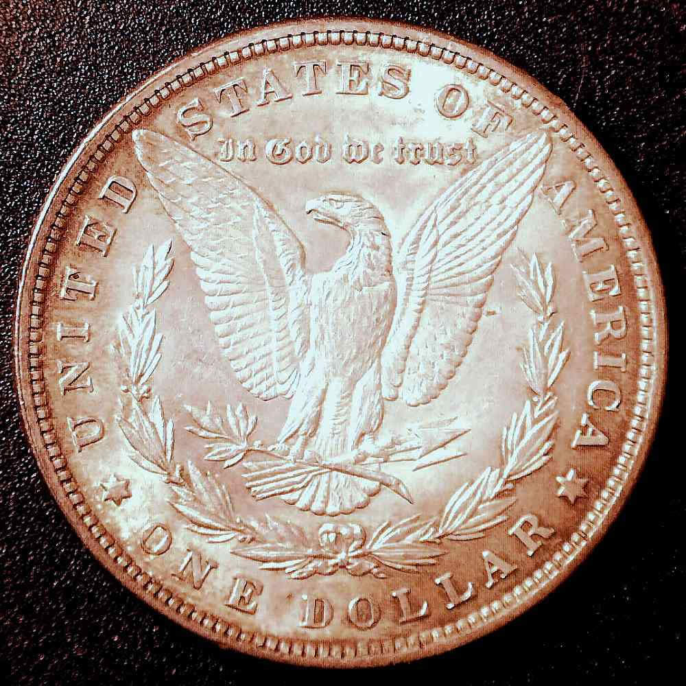 1880-Morgan-Dollar-For-Grading