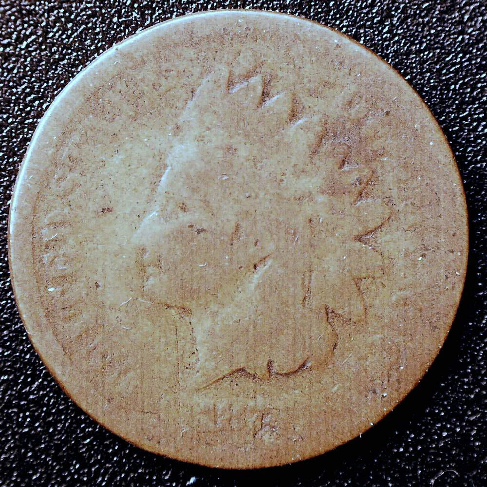 1877-Indian-Herad-Cent,-Or-Another-Date?