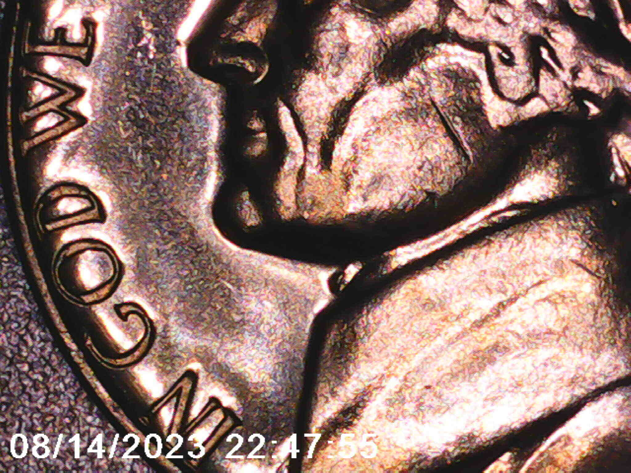 Nickel-Search-Updates-From-Nickelguy88