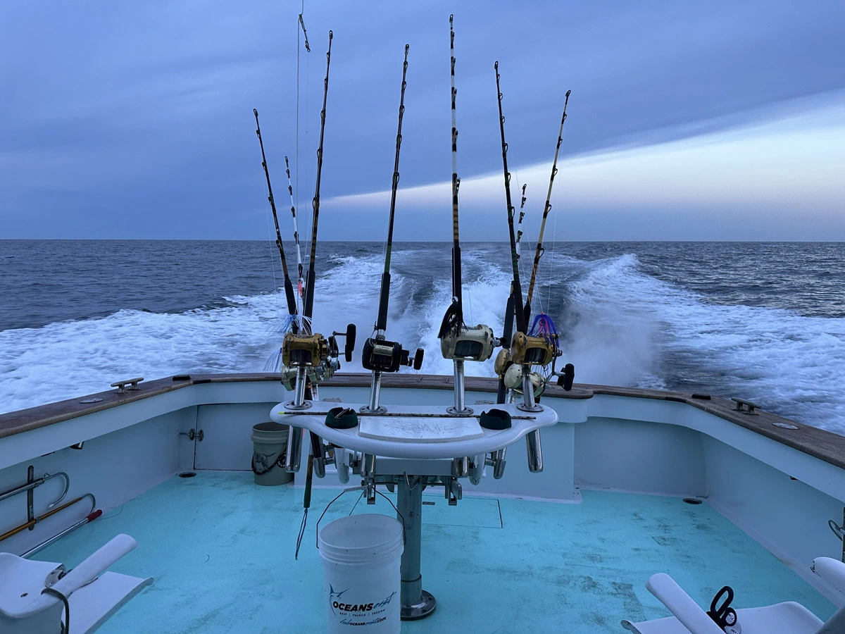 Going-Fishing---Checking-In-On-Occassion