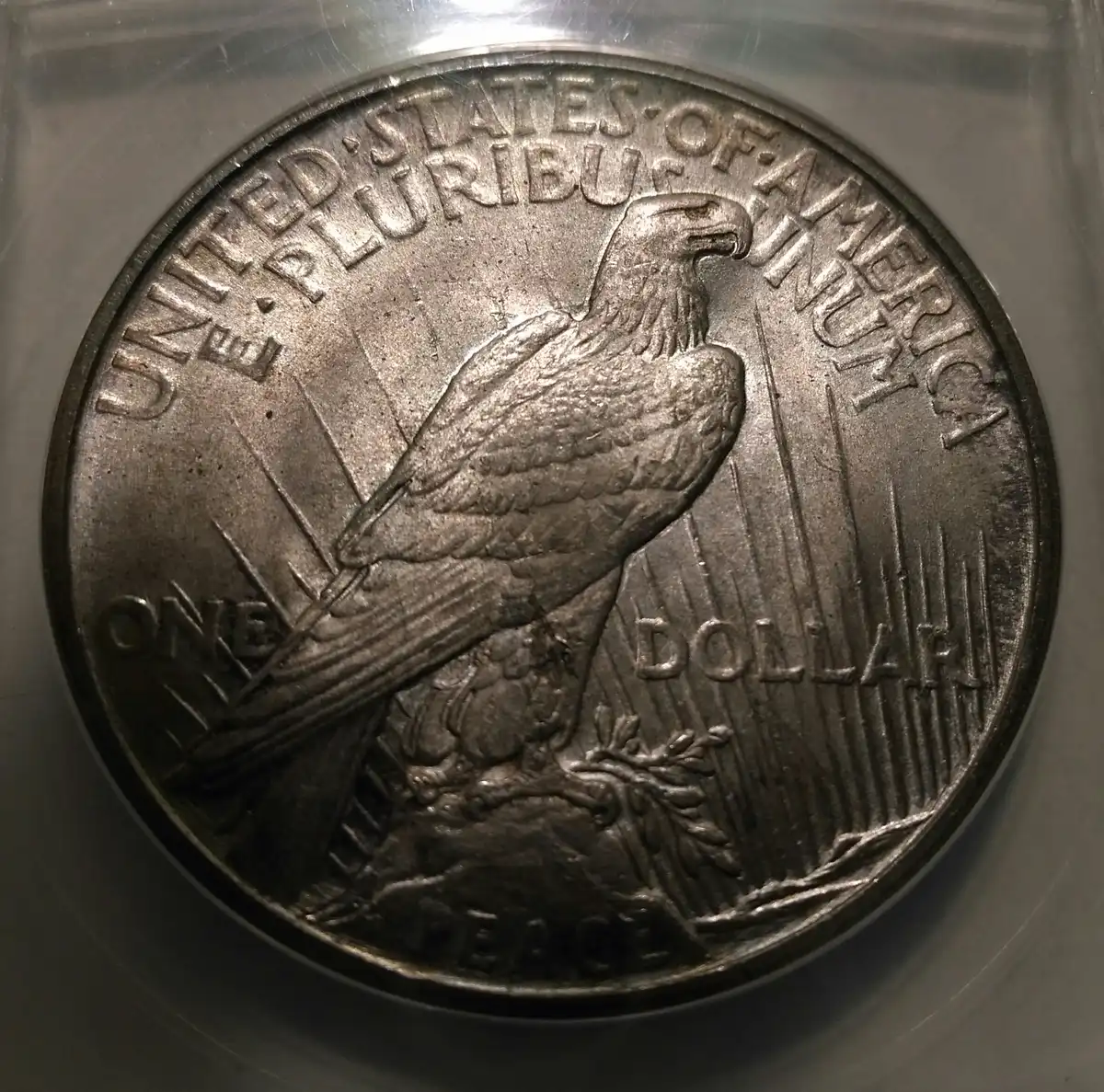 1921-Peace-Dollar:-Older-ANACS-Holder